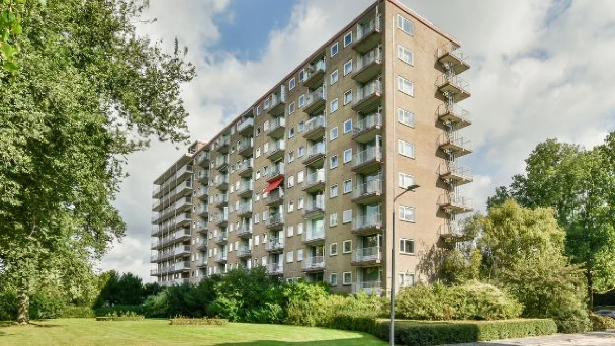 cosa fa il presidente di assemblea condominiale