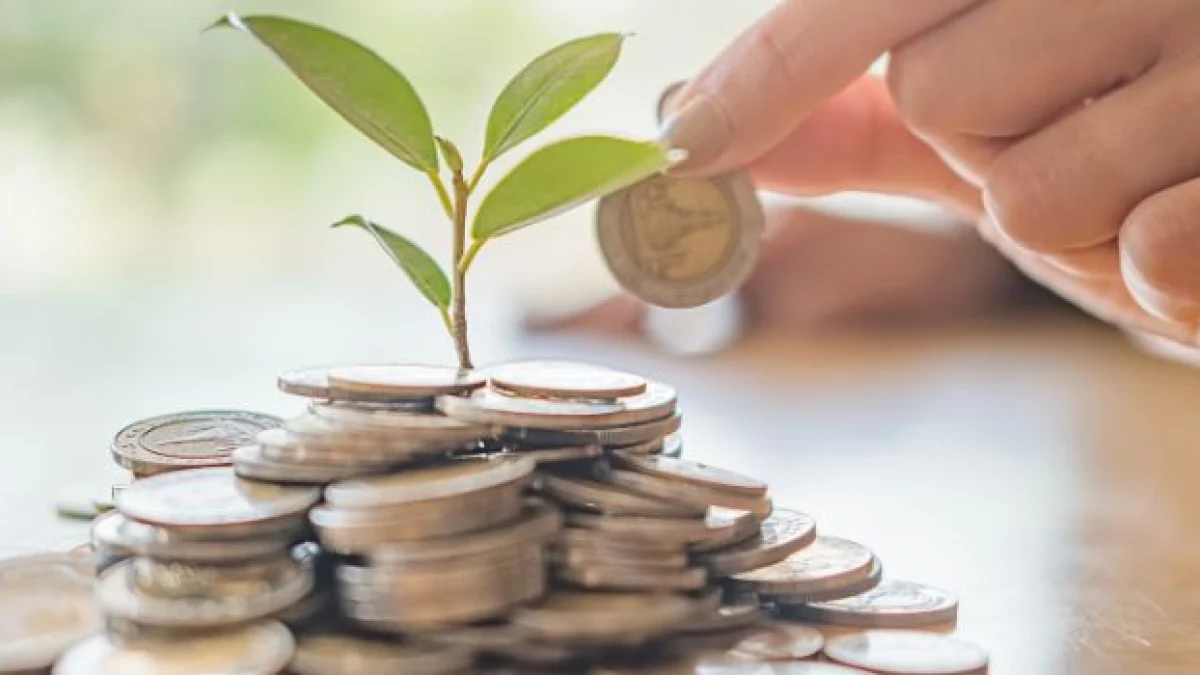 esempio calcolo contributi previdenziali regime forfettario