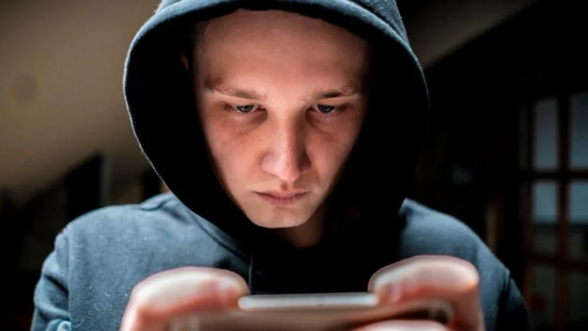 cos'è il cyberbullismo in breve