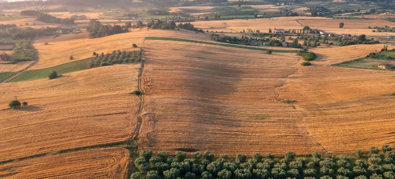 usucapione terreno dopo quanti anni