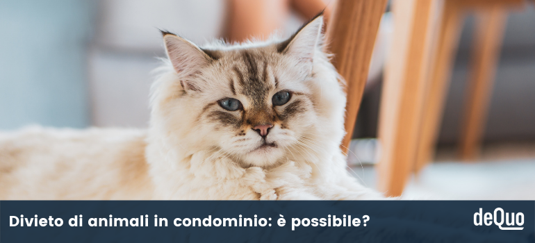 divieto animali condominio