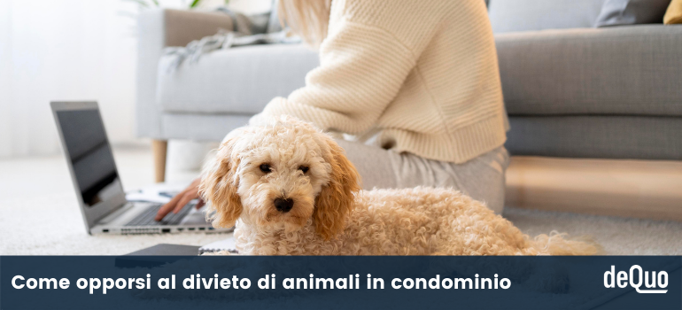 divieto animali condominio
