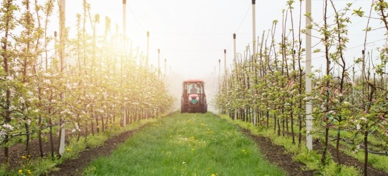 effetto deriva pesticidi