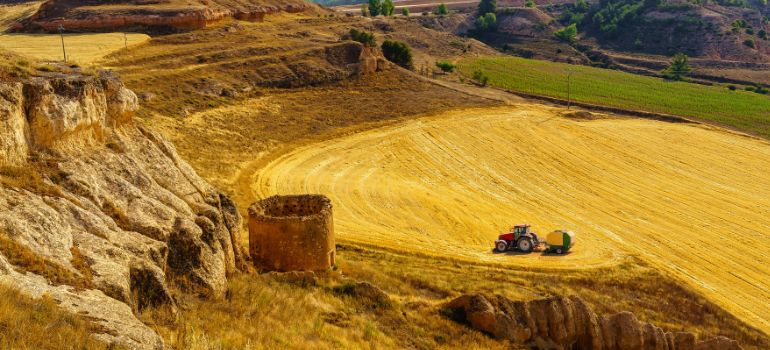 acquisto terreni agricoli
