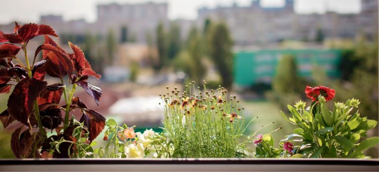 lancio di oggetti dal balcone