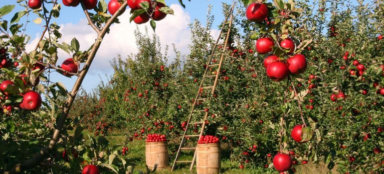 legge contro il caporalato