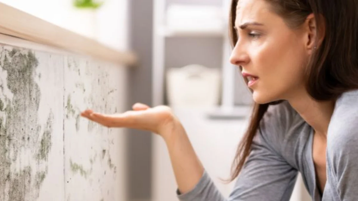muffa in casa richiesta risarcimento