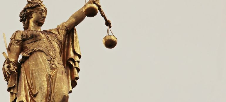 decreto omnibus