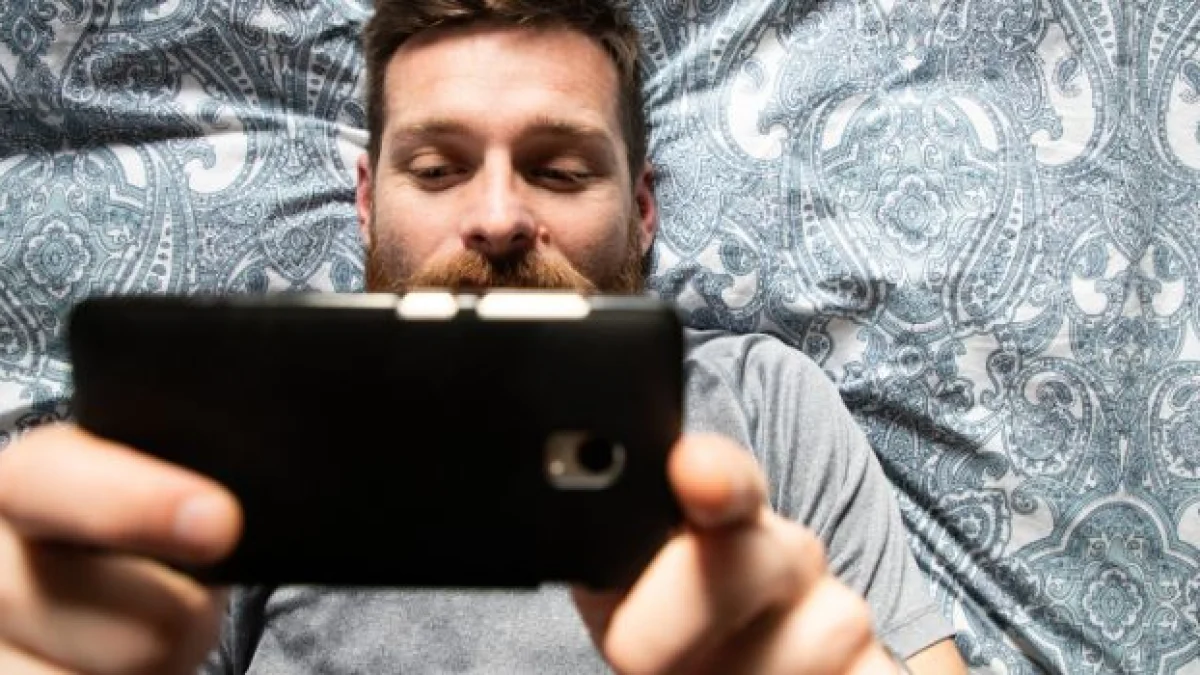 cosa è vietato vedere su internet il caso dei siti porno