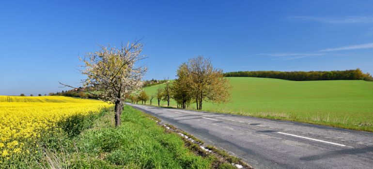 incidente in strada vicinale di chi è la responsabilità?