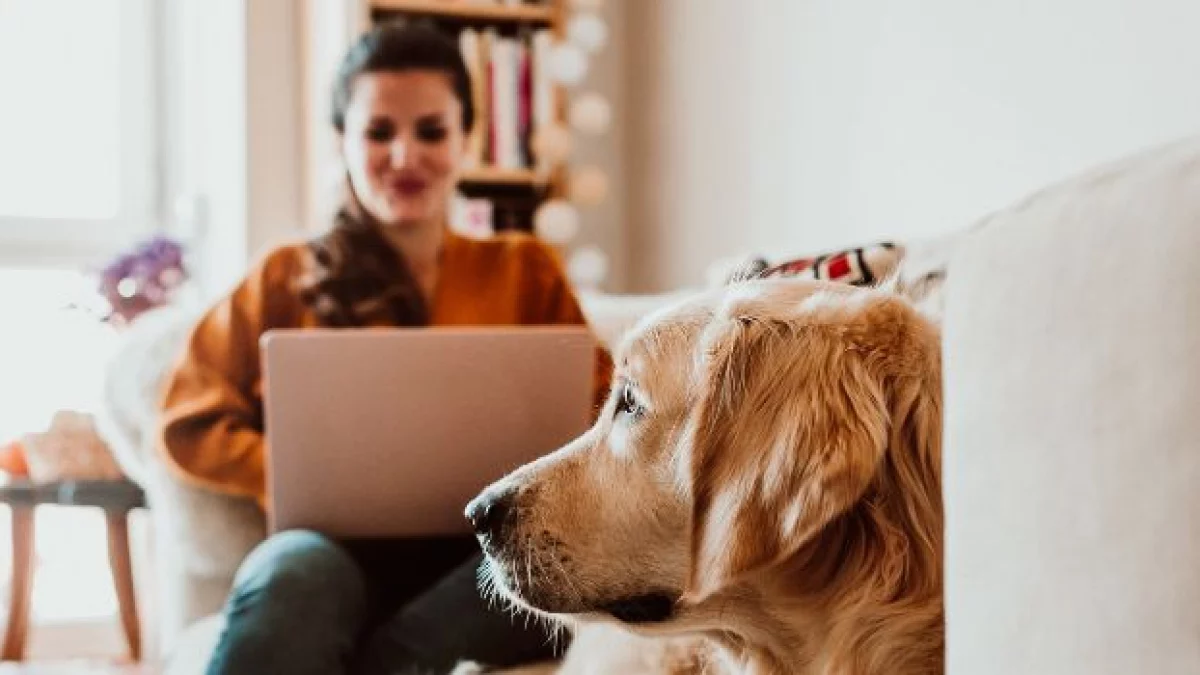 detrazioni spese veterinarie