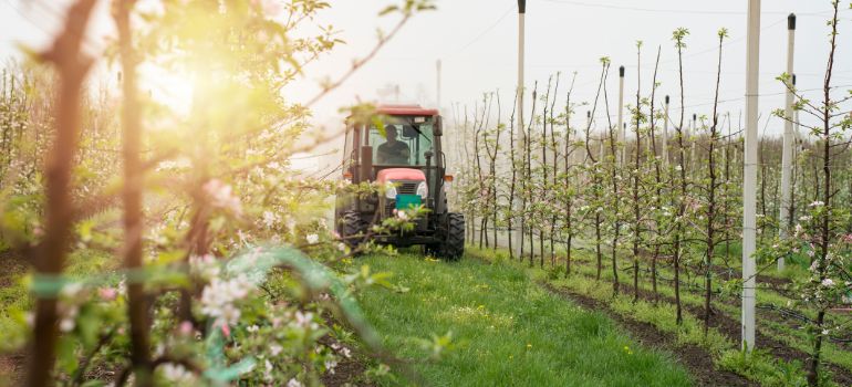 irpef agricola: chi paga?