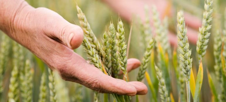irpef agricola esenzione