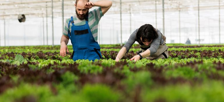 lavoratori stagionali diritto di precedenza sul lavoro
