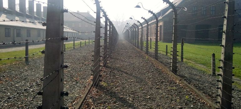 legge scelba rapporto con l'articolo 640 bis del codice penale