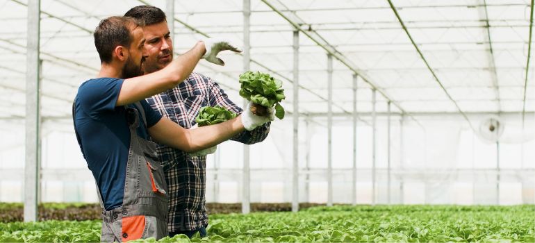 protesta agricoltori Irpef agricola