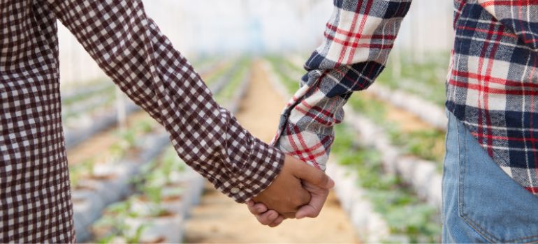 Cosa prevede il nuovo decreto agricoltura 2024