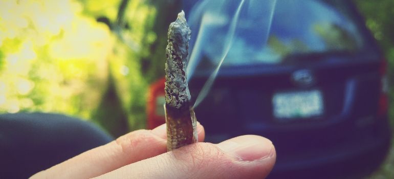 cds cannabis