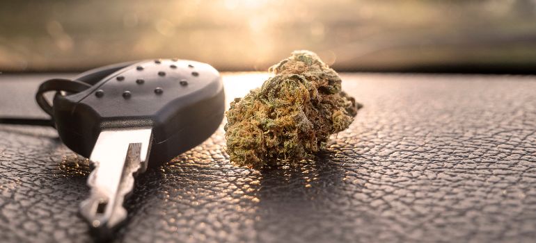 nuovo codice della strada cannabis