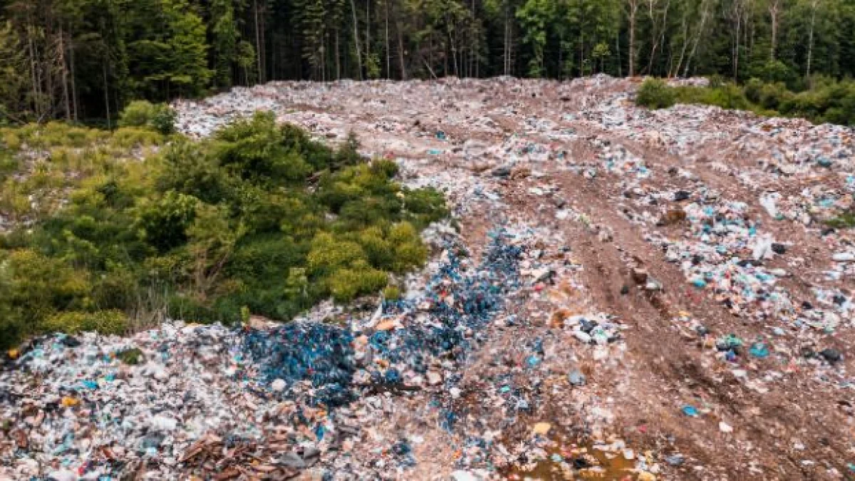 corte europea condanna l'italia sentenza terra dei fuochi