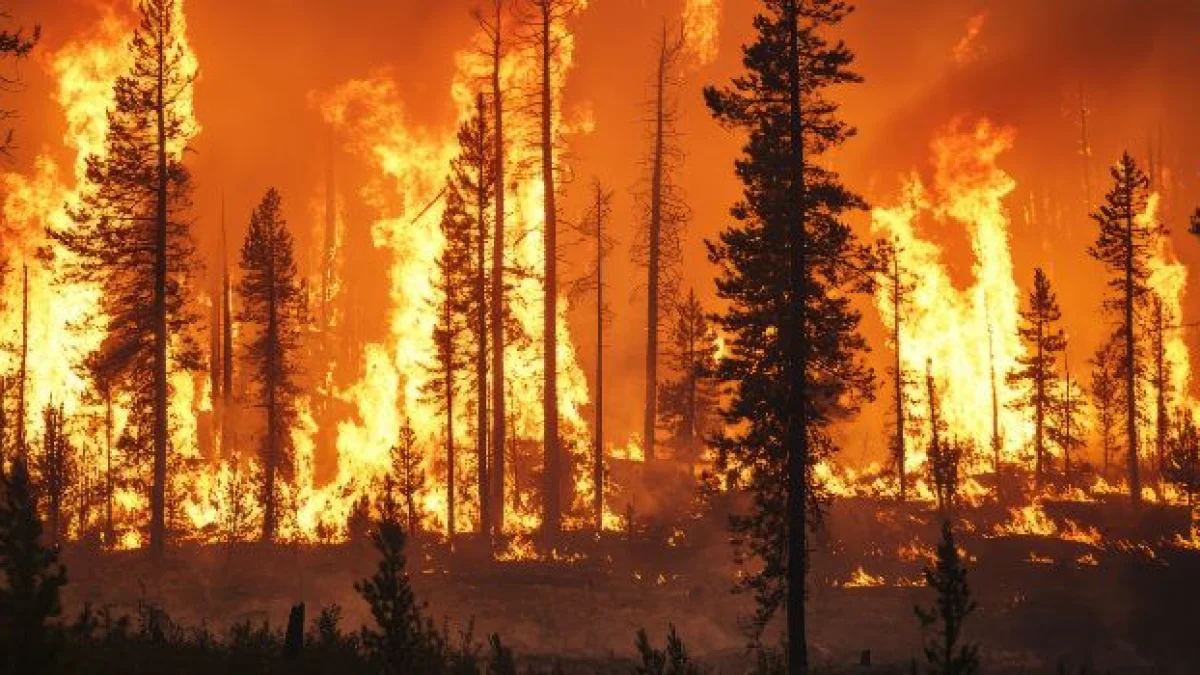 danneggiamento seguito da incendio reato procedibilità