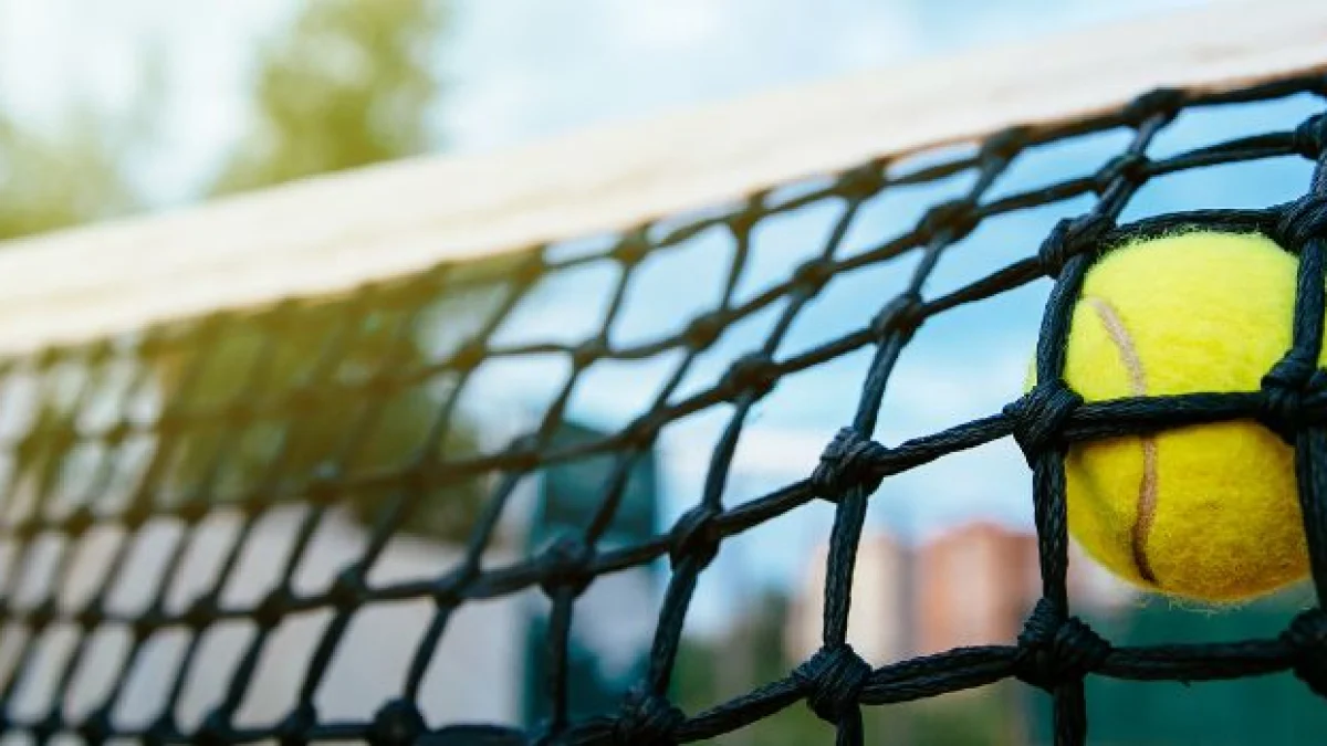 dove paga le tasse sinner