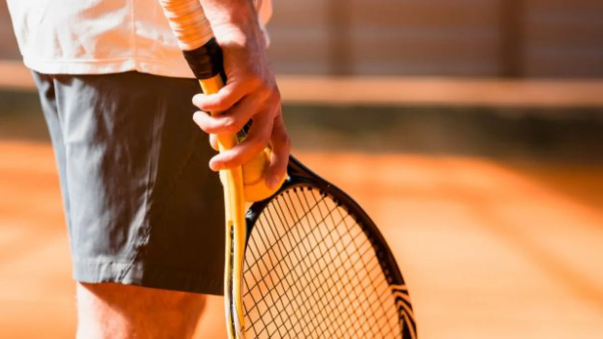 sinner e pagamento tasse a monaco