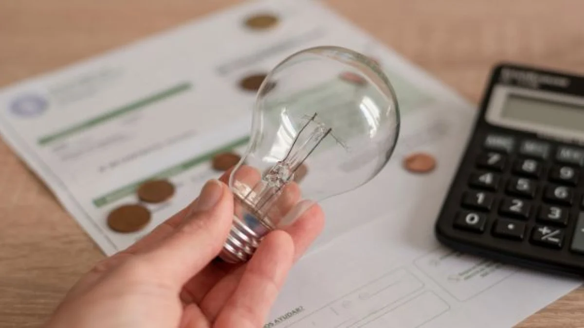 nuovo bonus bollette importo