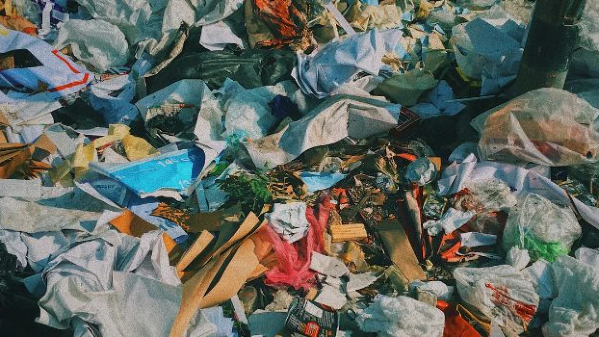 traffico illecito di rifiuti cosa significa