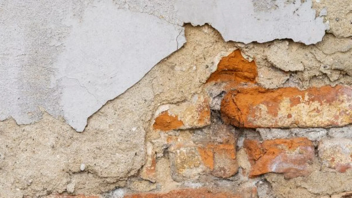 chi è responsabile nel caso di danno da infiltrazione in affitto