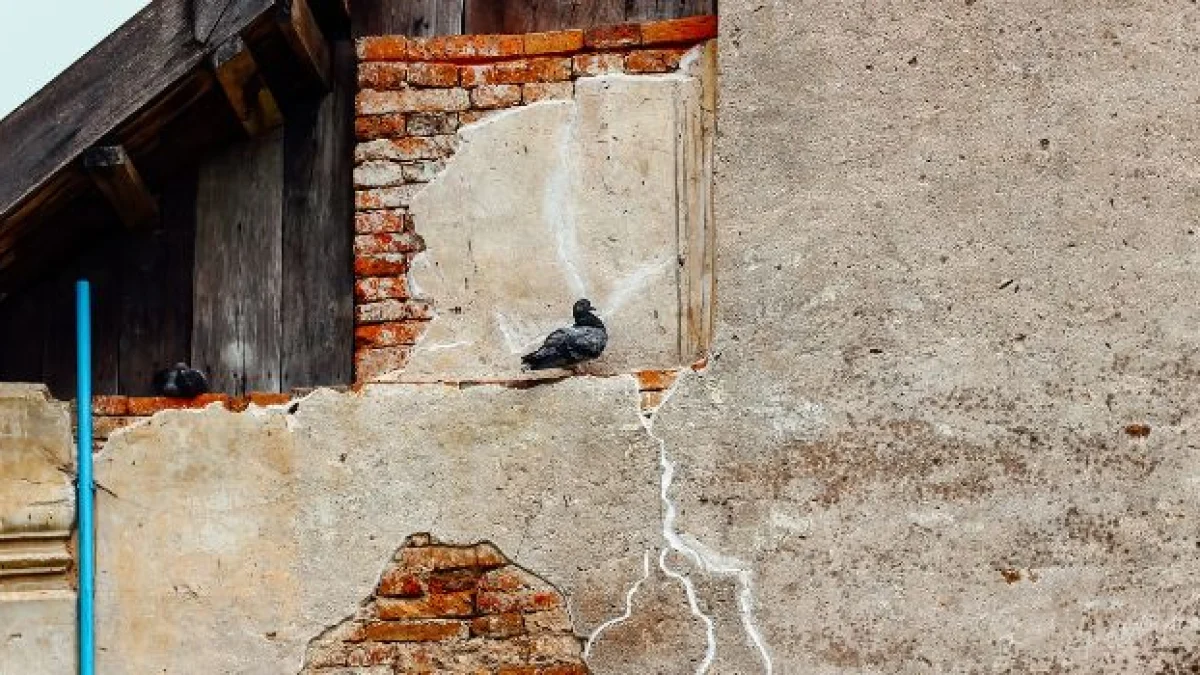 chi paga danni da infiltrazione in affitto