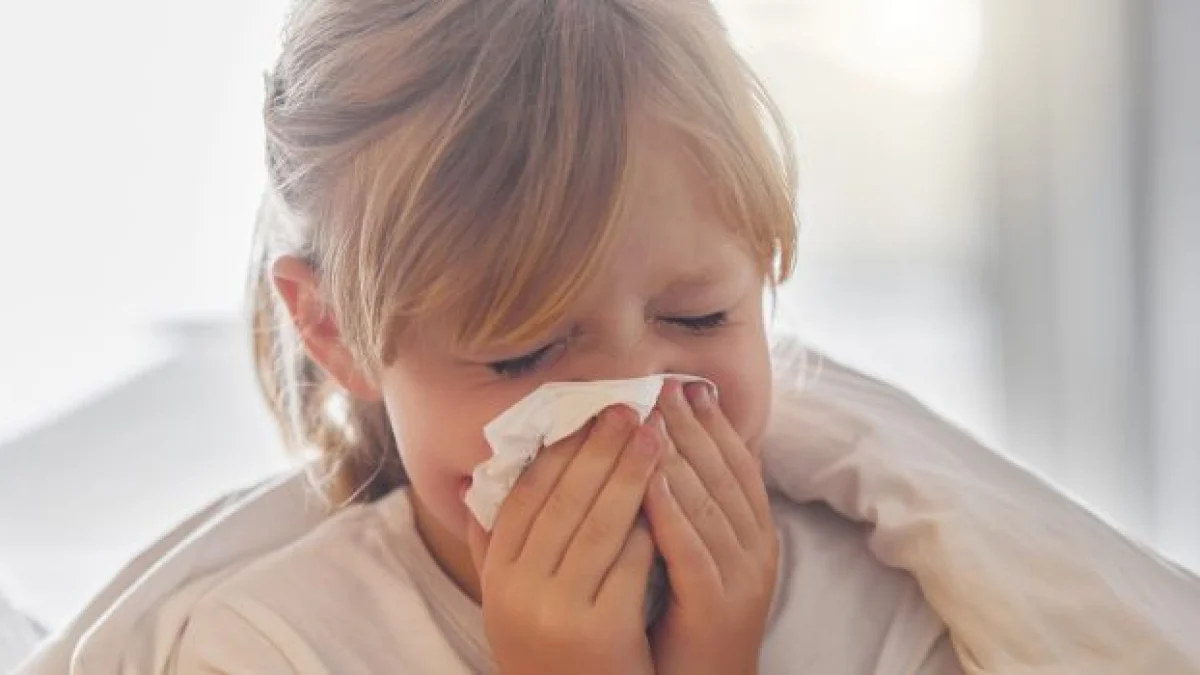 come funziona il diritto di visita