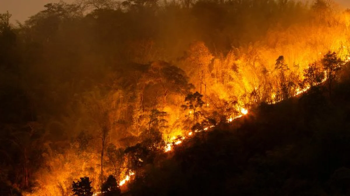 di cosa è accusato jacques moretti