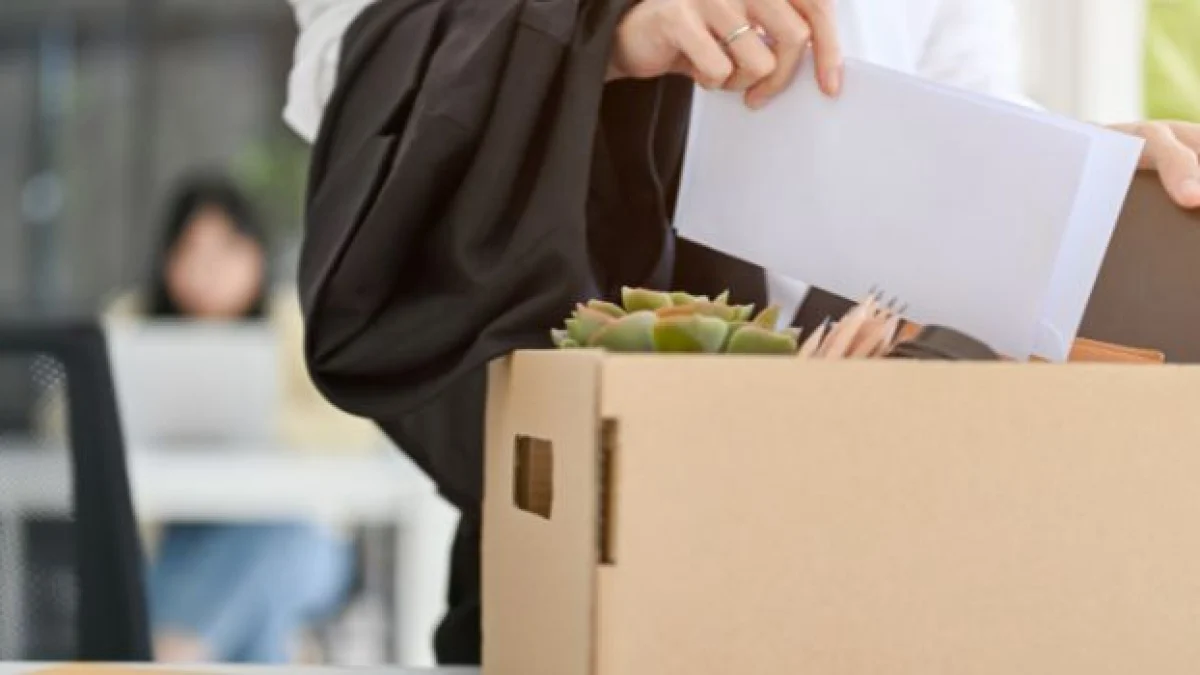 licenziamento cv falso