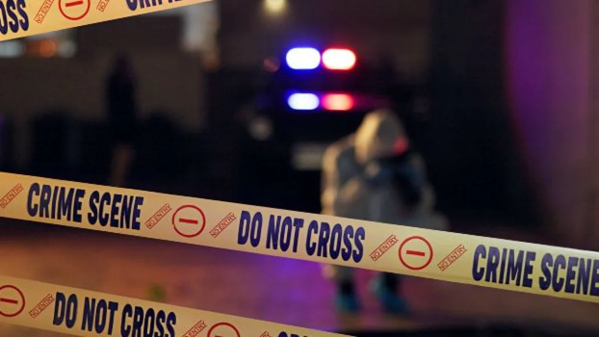 omicidio doloso cos'è