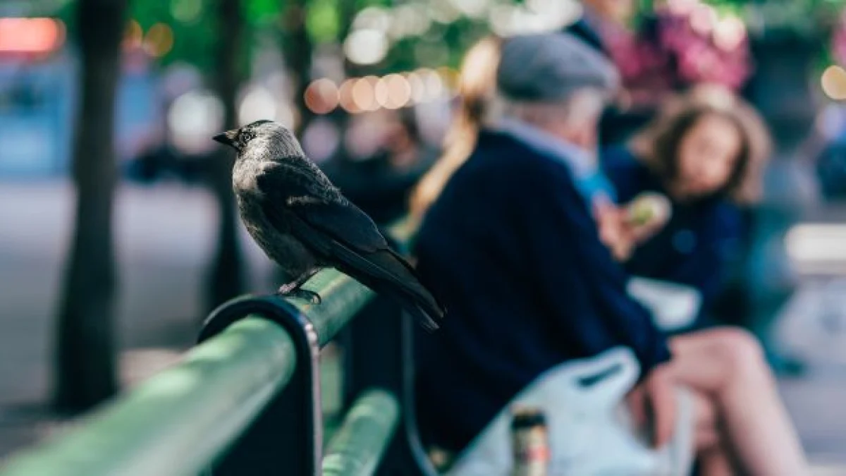 regole per proteggere i minori negli spazi pubblici