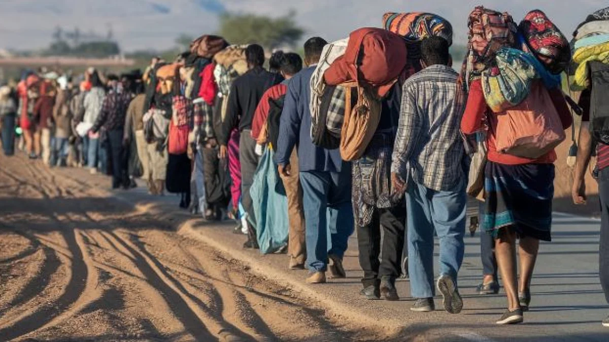 regolamento europeo rimpatri cosa prevede