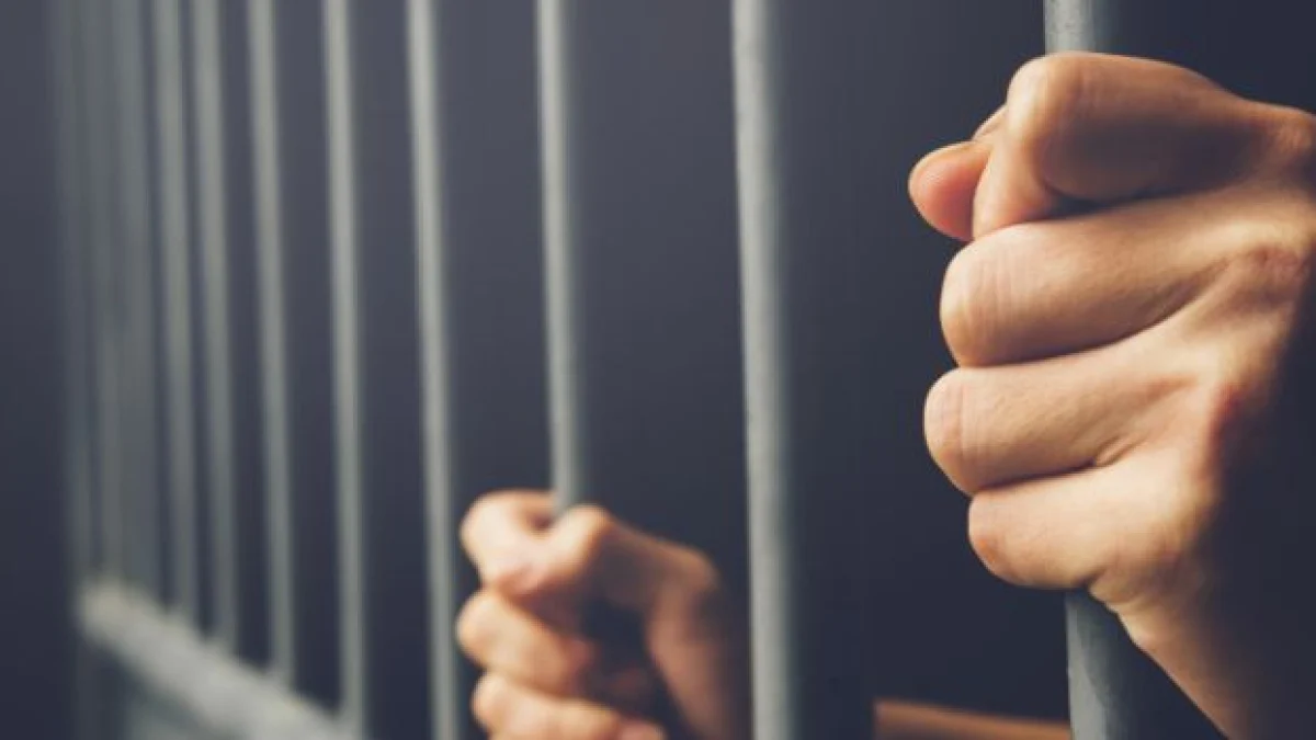 perdono giudiziale e messa alla prova