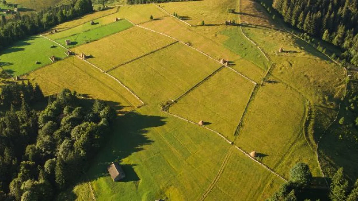 denuncia per invasione di terreni o edifici