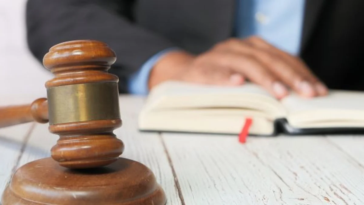 processo penale udienza predibattimentale