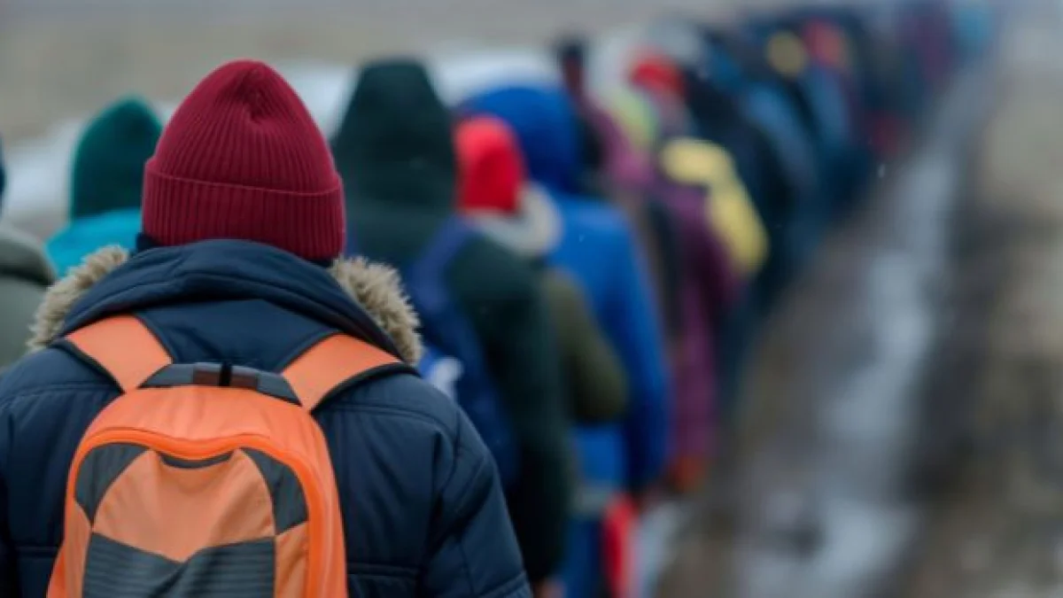 protezione internazionale e asilo