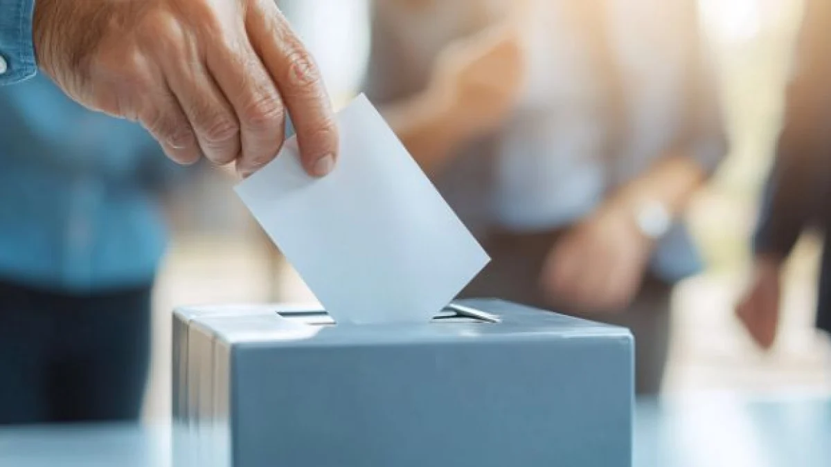 come fare ricorso alla corte costituzionale