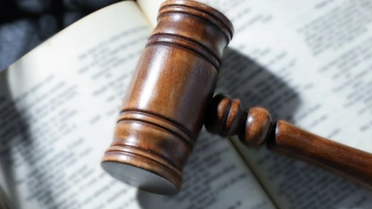 decreto sicurezza novita manifestazioni