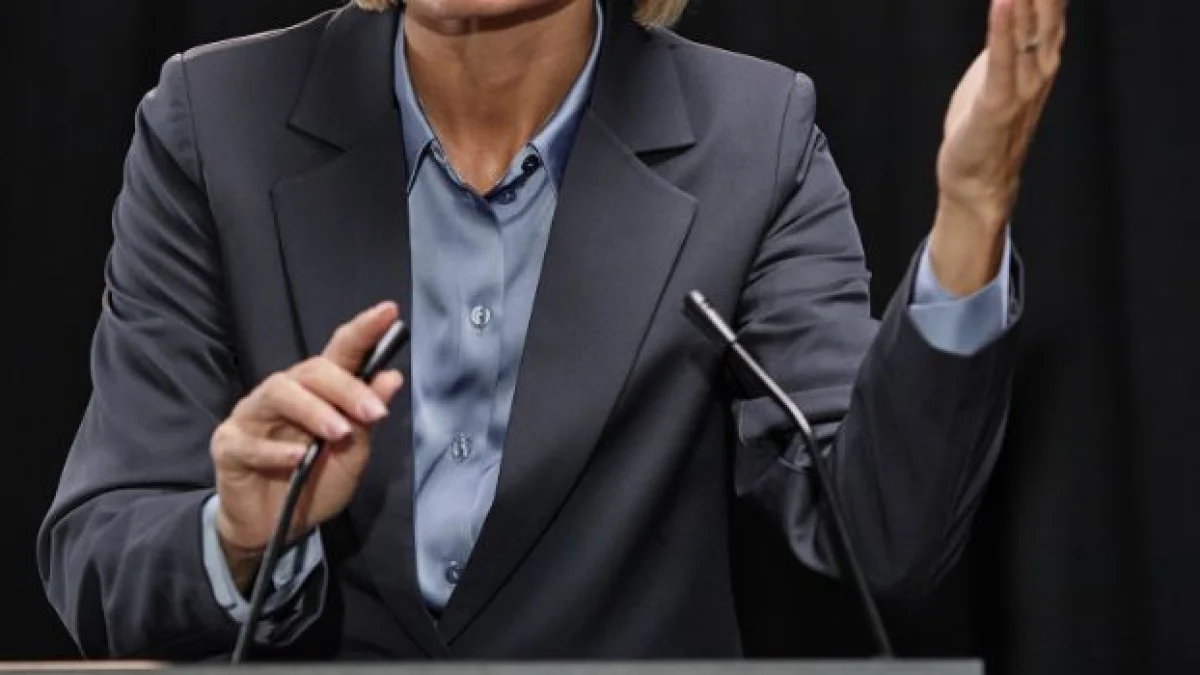 i politici hanno la reversibilita