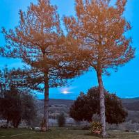 Foto Profilo Avvocato Alessandra Gentili