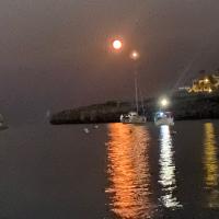 Foto Profilo Avvocato Stefano Olmeo